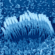 Illustration for article titled Promising Study Shows the Power of Gene Therapy to Treat Deafness